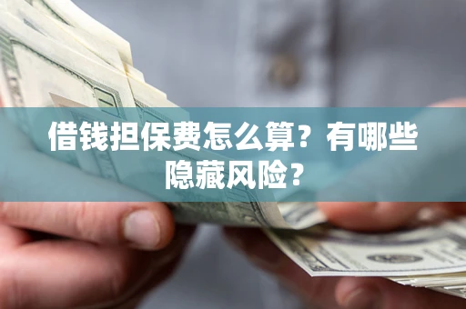武汉借钱担保费怎么算？有哪些隐藏风险？