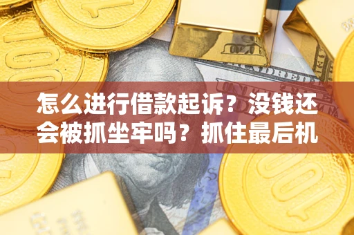 武汉怎么进行借款起诉？没钱还会被抓坐牢吗？抓住最后机会！