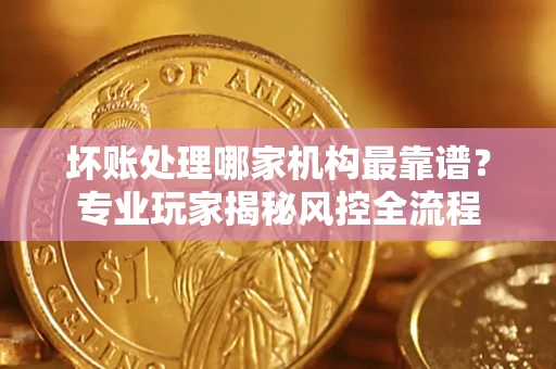 武汉坏账处理哪家机构最靠谱？专业玩家揭秘风控全流程