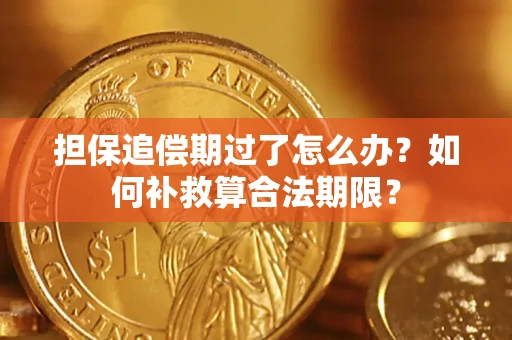 武汉担保追偿期过了怎么办？如何补救算合法期限？