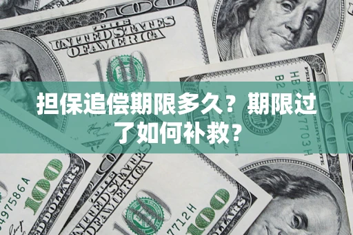 武汉担保追偿期限多久？期限过了如何补救？