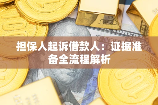 武汉担保人起诉借款人：证据准备全流程解析